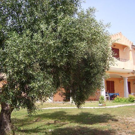 فندق Il Viandante سان تيودورو المظهر الخارجي الصورة