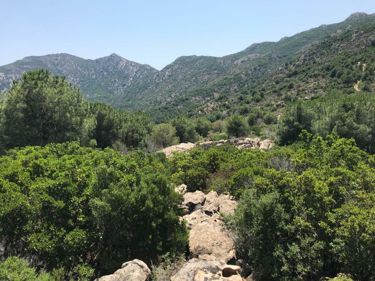 فندق Il Viandante سان تيودورو المظهر الخارجي الصورة